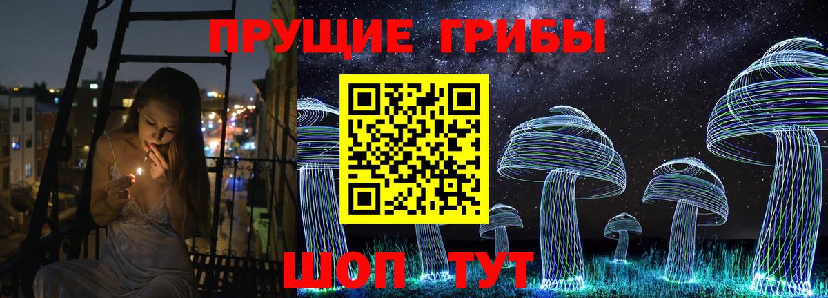Псилоцибиновые грибы прущие грибы  Вход с VPN  Бор 